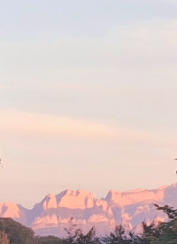 Hanspeter Weiss aus St. Gallen, Nachhilfe